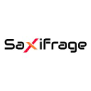 saxifrage